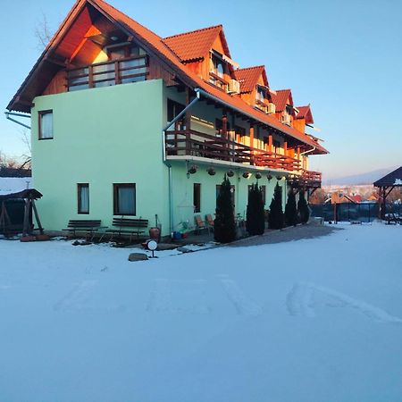 Pensiunea Leia Transfagarasan Cîrţişoara المظهر الخارجي الصورة