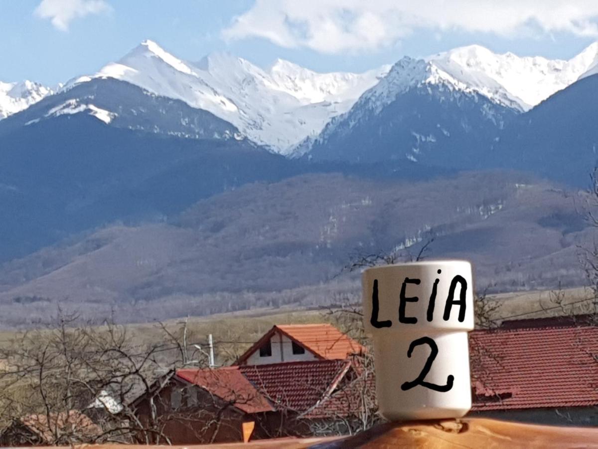 Pensiunea Leia Transfagarasan Cîrţişoara المظهر الخارجي الصورة