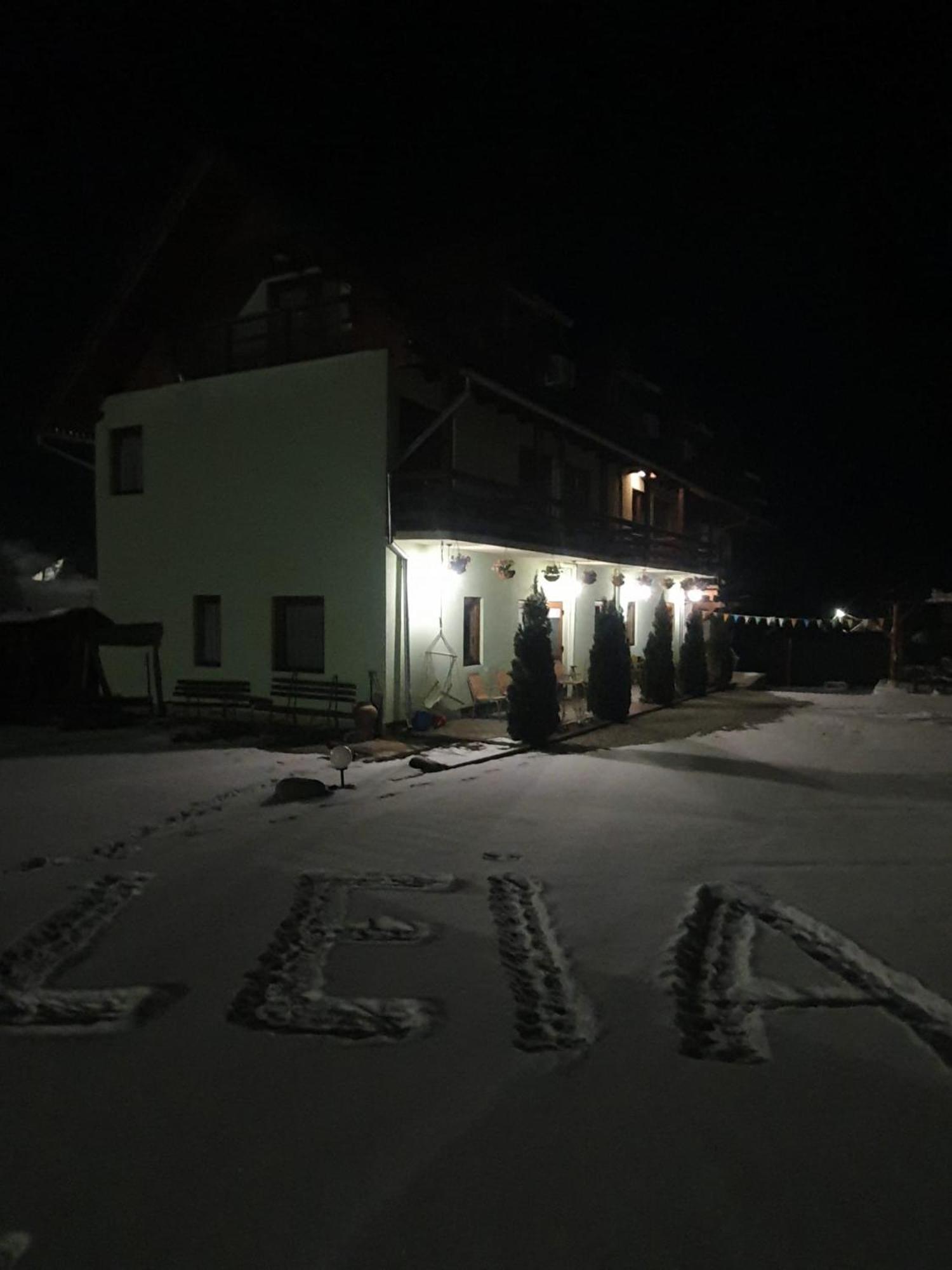 Pensiunea Leia Transfagarasan Cîrţişoara المظهر الخارجي الصورة